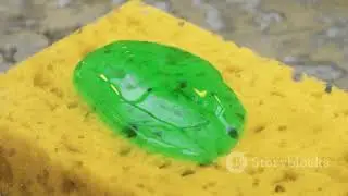 The Science Behind Soap and Cleaning!
