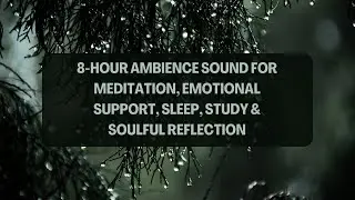 Healing Oasis: 8 Hours of Serene Ambience Music for Meditation, Healing, Study & Soulful Reflection