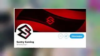 Sentry Gaming 👑