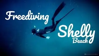 Snorkeling / Freediving Cabbage Tree Bay (Shelly Beach).