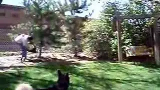 Cutting down another tree