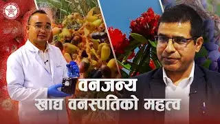 वनजन्य खाद्य वनस्पतिः उद्यमशिलता, खाद्य तथा पोषण सुरक्षा | NAST Nepal