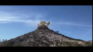 Desert Dragon