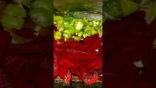 hot chilies cutting method and mix beetroot food for dried #shortvideo #vegetables