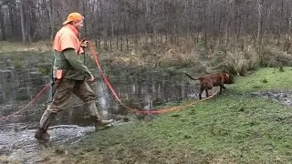 NIMRÓD Percek - 26. KASZÓ KUPA - Országos Véreb Fővizsga - 2015.03.29-i adás