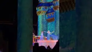 Anna & Elsa | Frozen Holiday Surprise | Magic Kingdom #disney
