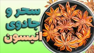 رازهای سنتی خواص معجزه&zwnj;آسا انیسون | خواص انیسون | خواص بادیان رومی یا ستاره ای