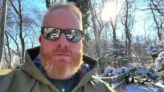 Winter Plant Damage