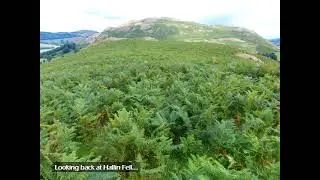 Beda Fell, with Brian