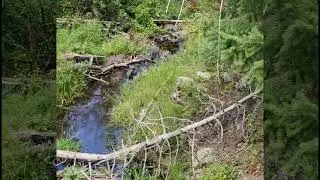 Real Estate Agent Evergreen CO   Selling Your Home In Evergreen Colorado   Listing Agents Evergreen