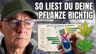 Mangel oder &Uuml;berschuss? So liest du deine Pflanze richtig