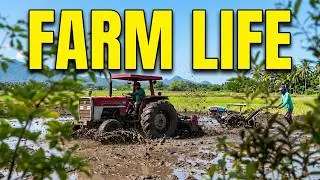 FARM LIFE IN THE PHILIPPINES