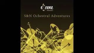 Colony Collapse - The Architects - Symphony orchestra cover (S&N Orchestral Adventures)