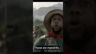 movie name :- Jumanji the next level