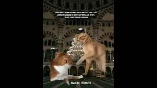 🤌. #fypシ゚viral #halalhumour halal cat memes ✨❤