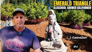 Quality over quantity &ndash; A small farm in California's Emerald Triangle