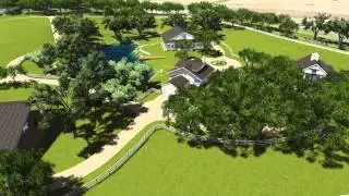 Vineyard Animation