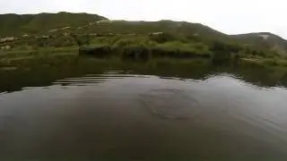 Bass Fishing @ Riba Roja River Ebro 2014