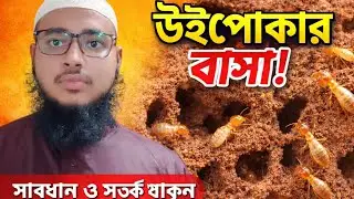 ভয়ংকর উইপোকার বাসা❓
