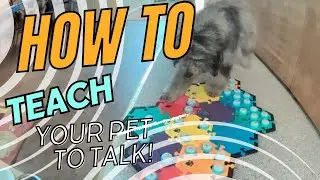 How i taught my dog to talk in months (over 70 buttons now)!