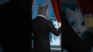 The Ring That Wasn't Mine #cat #shortvideo #movie #cute #sad