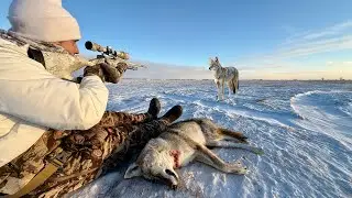 Predator Hunting Coyotes in Extreme Cold Temps! (-15&deg;)