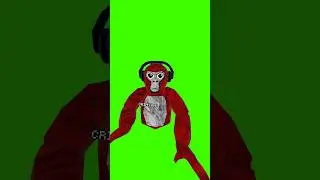 Gorilla Tag Green Screen #gorillatag #gorillatagquest #vr #greenscreen