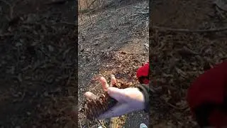 VIDEO EXTRA RILASSANTE - by Pigna SKKRRCH