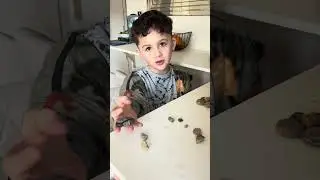 Full video! Fossil dig kit discovery 🐚🦴