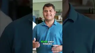 Por Que a Aduba&ccedil;&atilde;o Foliar &eacute; Indispens&aacute;vel e Qual o Momento para Realizar a Aduba&ccedil;&atilde;o Foliar (Parte 1)