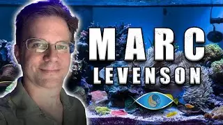Tips after 30 YEARS of Reef Keeping - Melev's Reef