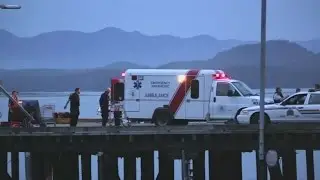 Five dead as whale-watching boat sinks