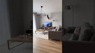 Cat Destroy Big TV recorded CCTV Camera