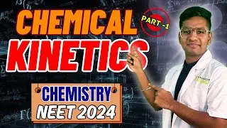 CHEMICAL KINETICS  | PHYSICAL CHEMISTRY | CLASS 12 | All concepts ,tricks and pyqs  | NEET 2024