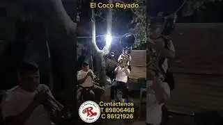El Coco Rayado