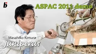 ASPAC KIMURA DEMO 2011
