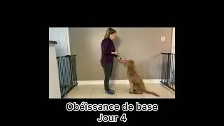 Alice en pension &eacute;ducative - Ob&eacute;issance de base