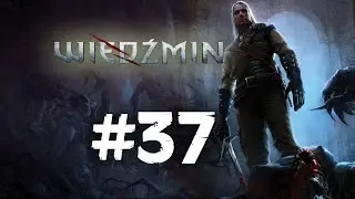Zagrajmy w Wiedźmin #37 - Radowid Srogi