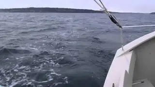 SCAMP_afternoon_sail-HD 2.mov