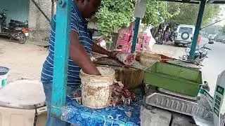 பெரிய சைஸ் கடல் கெளிரு மீன#trending#tamil  # fishing video 