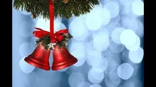 Woodview Elementary Holiday Concerts 2025