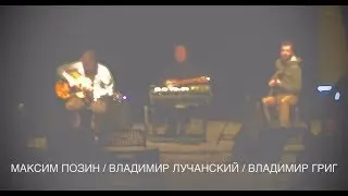 Максим Позин / Владимир Лучанский / Владимир Григ - Музей Звука 16/III-2020
