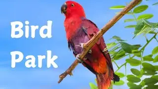 Bird Park/tourist place/picnic spot in mumbai/Recreational places/essel world/amusement park