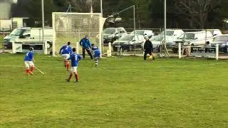 Spectacular Shinty Saves