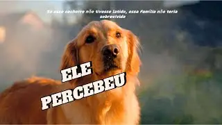 Se esse cachorro não tivesse latido, essa família não teria sobrevivido #históriareal #cãoherói