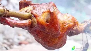 Primitive Technology: Tracking, trapping and processing wild Chicken in the forest. | Wilderness.