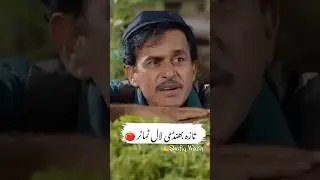 taji bhindi Lal tamatar 🍅 🤣 #short #shortfeed #YouTubeshorts #pakistanidarma