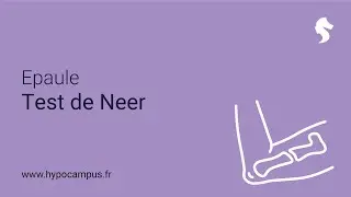 Shoulder - Neer Test