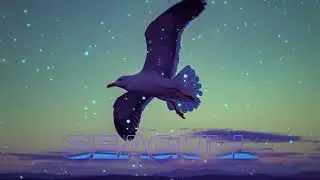 RxN- Gmod Seagull Dancing (EDM-Remix)