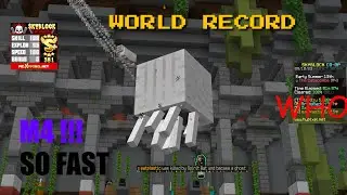 OLD HYPIXEL SKYBLOCK M4 S+ WR FT. EATPLASTIC